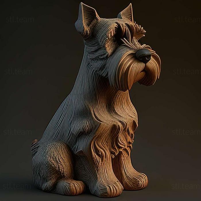 Zwergschnauzer dog